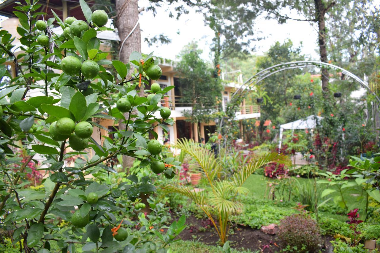 Pescador Hotel Ph Santiago Atitlan Luaran gambar